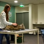 Gastspreker tijdens ledenvergadering over konijnen