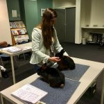 Gastspreker tijdens ledenvergadering over konijnen