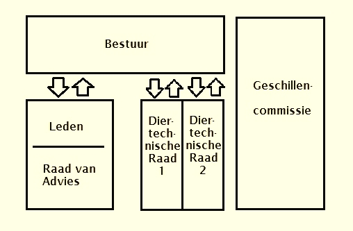 Organigram KLN