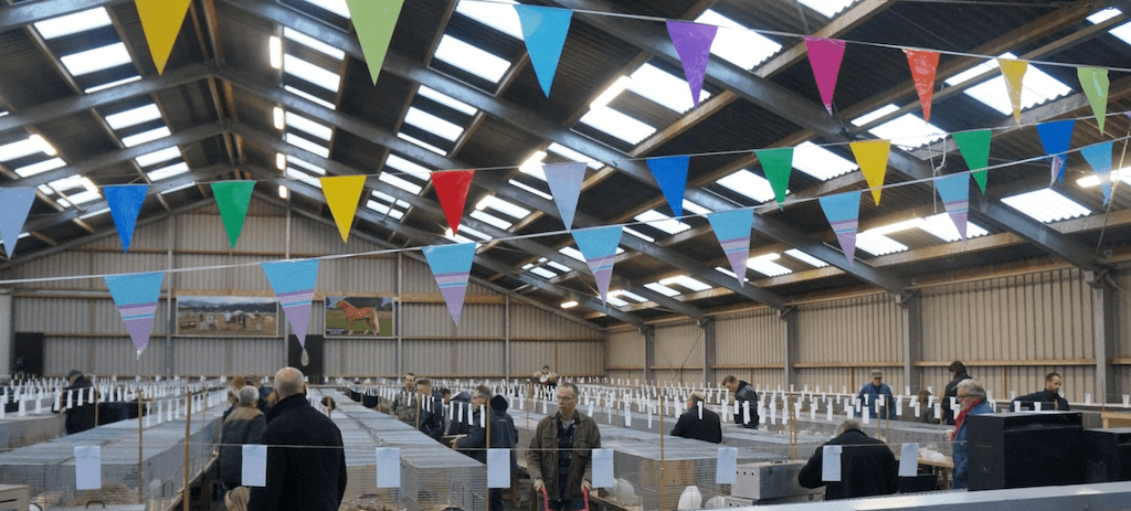 Flevoshow 2018 gaat helaas niet door ...